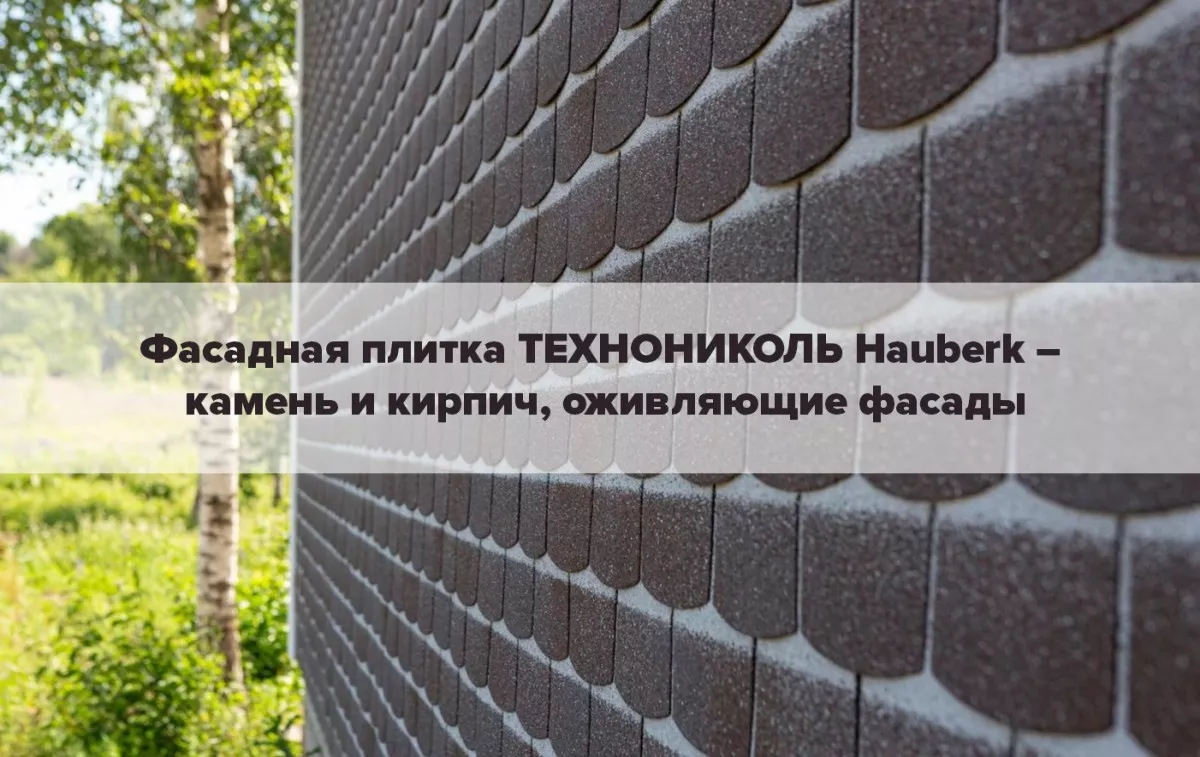 Фасадная плитка ТЕХНОНИКОЛЬ Hauberk 1