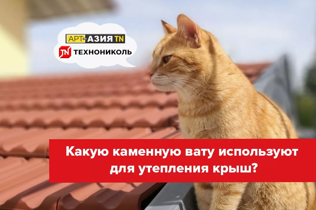 Какую каменную вату используют для утепления крыш 1